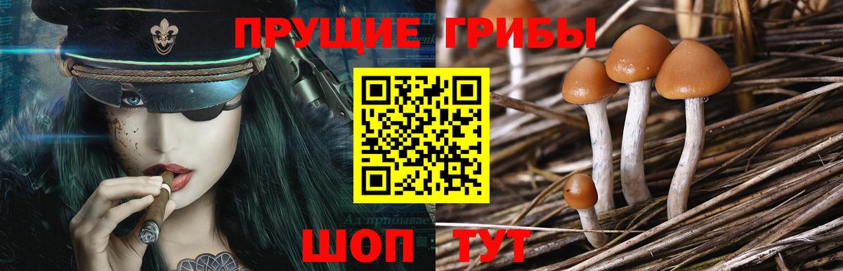 Галлюциногенные грибы Psilocybe  Вход с VPN  Миллерово 